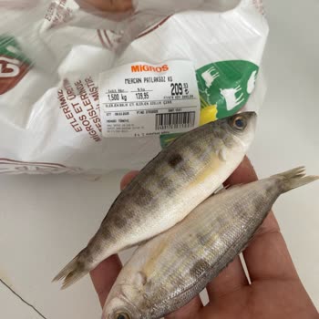 Migros'tan Gelen Bayat Balık Şoku