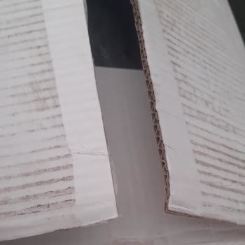 Aras Kargo İle Hijyen Ve Güven Sorunu