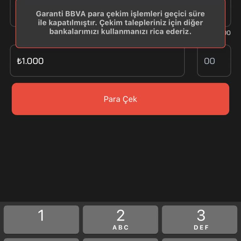 Payfix Hesabından Para Aktarma Sorunu