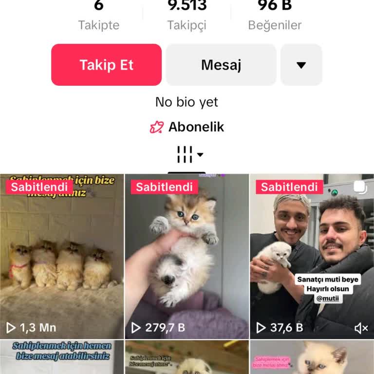 Canlı Yayında Kedi Satışı Ve Hayvan Hakları İhlali
