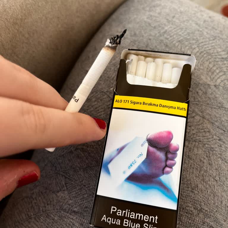 Sürekli Sönen Sigara Ve Odunsu Yapılar