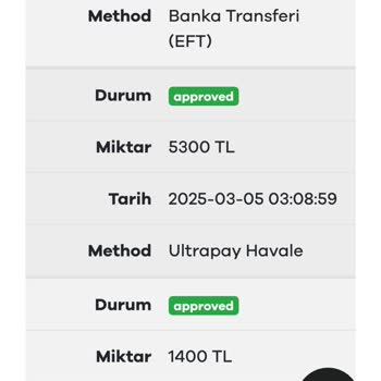 Para Çekiminde Karşılaşılan Sorunlar Ve Güven Eksikliği