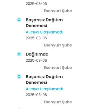 Kargocu Zile Basıp Kaçıyor