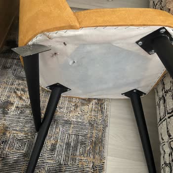 Kırılan Sandalyeler Ve İlgisiz Mağaza Yönetimi