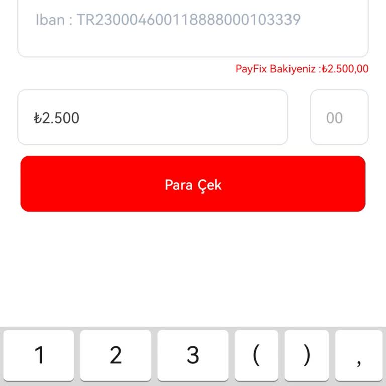 Payfix Para Çekim Sorunu Acil Çözüm Bekliyor