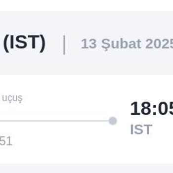 Türk Hava Yolları İle Seyahat Kabusu: Ek Masraflar Ve Stres