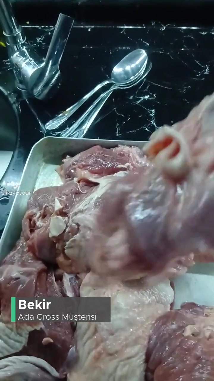 Teşekkürler Ada Gross! videonun kapak resmi