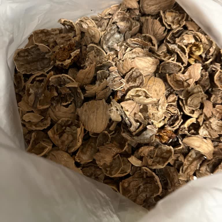 Migros'tan Aldığım Cevizlerin Kalitesizliği!