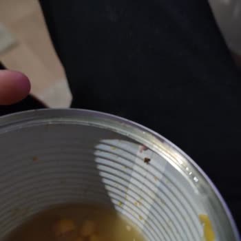 Konserve Mısırda Böcek Şoku