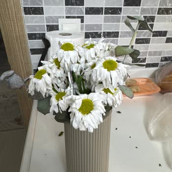 Çiçek Sepeti 'nden Gelen Solmuş Papatyalar