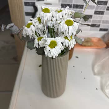 Çiçek Sepeti 'nden Gelen Solmuş Papatyalar