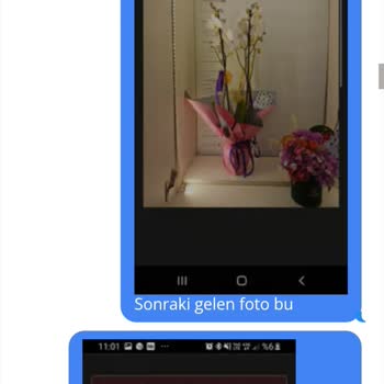 Onaysız Gönderilen Solmuş Orkide Şikayeti