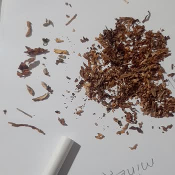 Parliament Night Blue Sigara Kalitesi Düşük Ve Tat Vermiyor