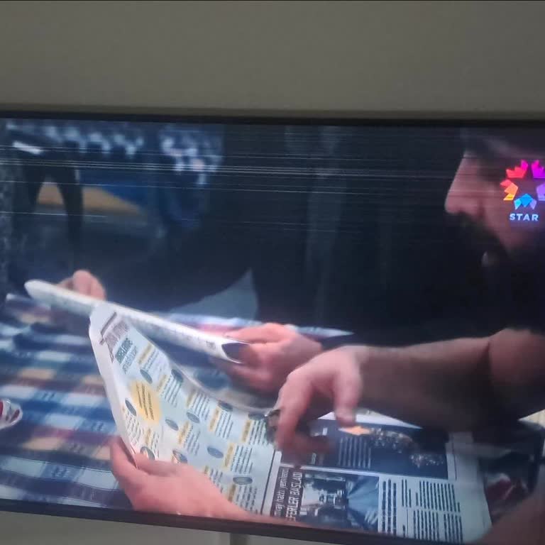 Vestel Servisinin İlgisizliği Ve TV Sorunu