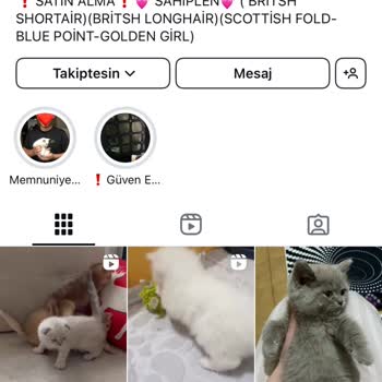 Hayvan Sahiplendirme Adı Altında Mağduriyet