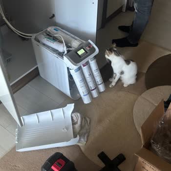 İhlas Servisi Arıtma Cihazı Sorunu Ve İlgisizlik