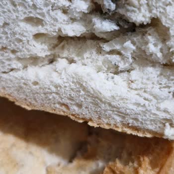 Küflü Ekmek Ve Güven Sorunu