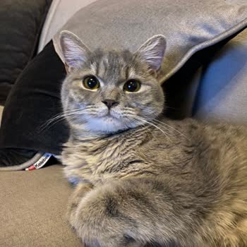 Yanlış Tasarım Ve İletişimsizlik Mağduru Olduk!