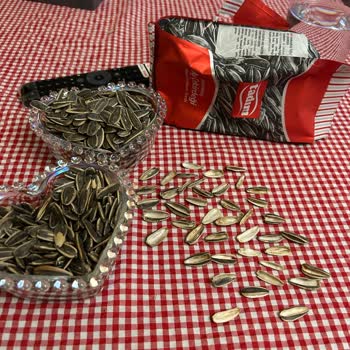 Boş Kabuk Skandalı: Tadım Ayçekirdeği Hayal Kırıklığı