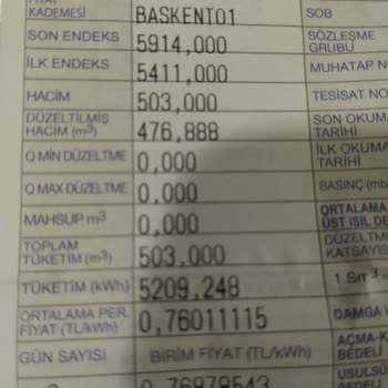 Yanlış Endeks Girişi Nedeniyle Yüksek Fatura Sorunu