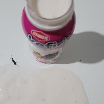 Kefirin Köpürmesi Ve Tuhaf Tadı Endişe Yarattı