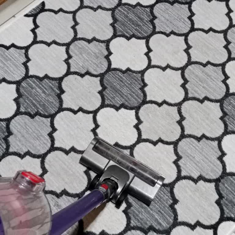 Dikey Süpürge Arızası Ve Servis İletişim Sorunu