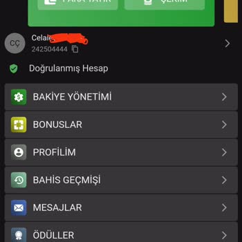 Lordcasino Kazancımı Göndermedi