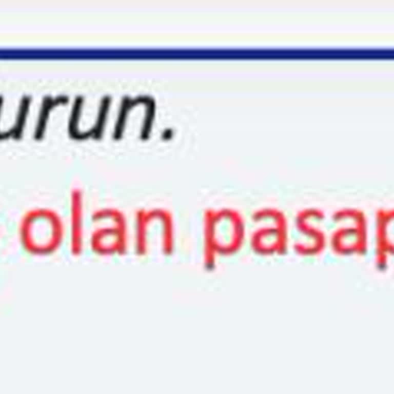 Vize Başvuru Sürecinde Yaşanan Zorluklar