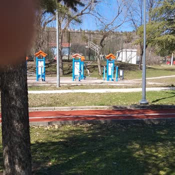 Polatlı Parklarının Yeşil Dokusu Tehlikede