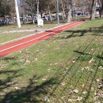 Polatlı Parklarının Yeşil Dokusu Tehlikede