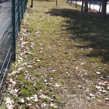 Polatlı Parklarının Yeşil Dokusu Tehlikede