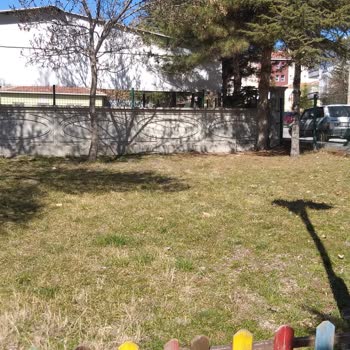 Polatlı Parklarının Yeşil Dokusu Tehlikede