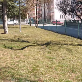 Polatlı Parklarının Yeşil Dokusu Tehlikede