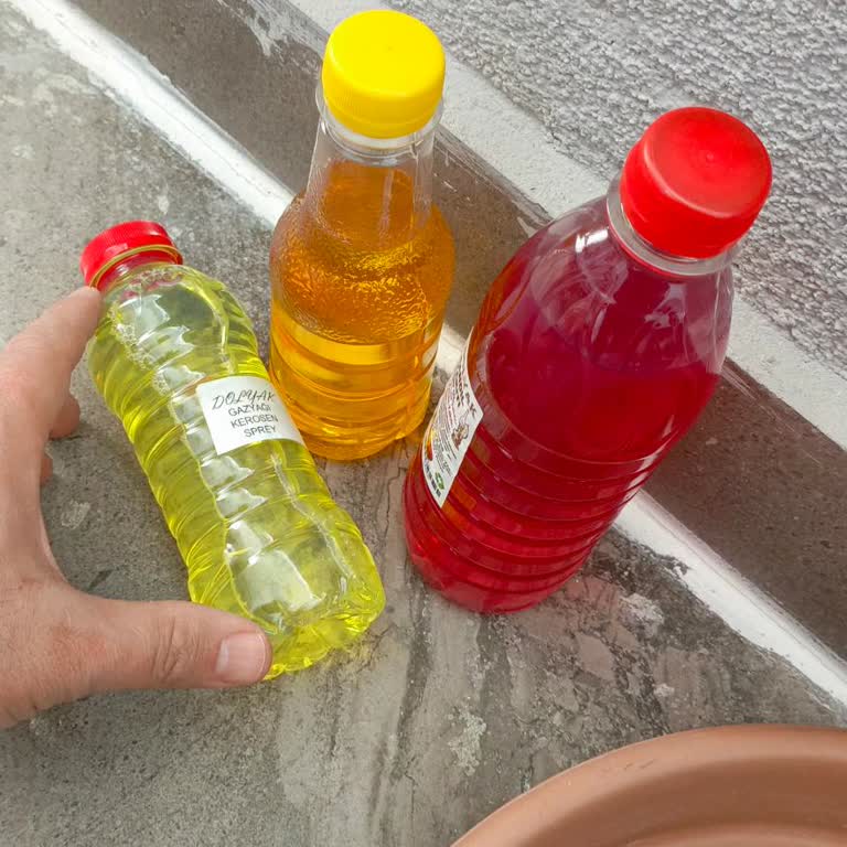 Trendyol'da Yanlış Ürün Gönderimi Ve İletişim Sorunu