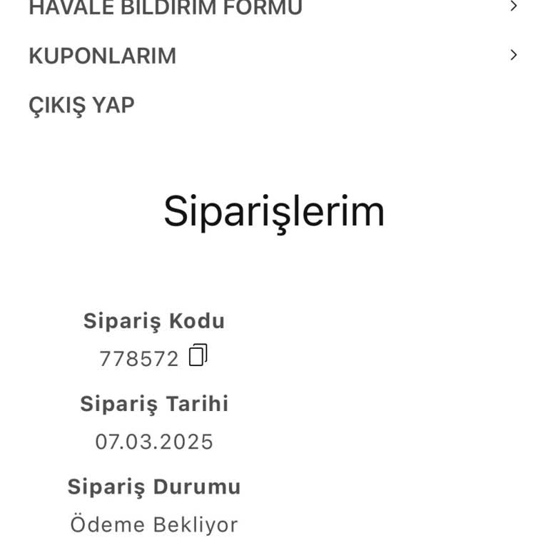 Ödeme Alındı, Sipariş Beklemede: Troy Estore Hayal Kırıklığı