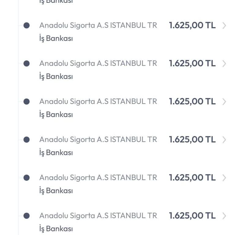 Anadolu Hayat Sigorta'dan Yetkisiz Para Çekimi Şoku