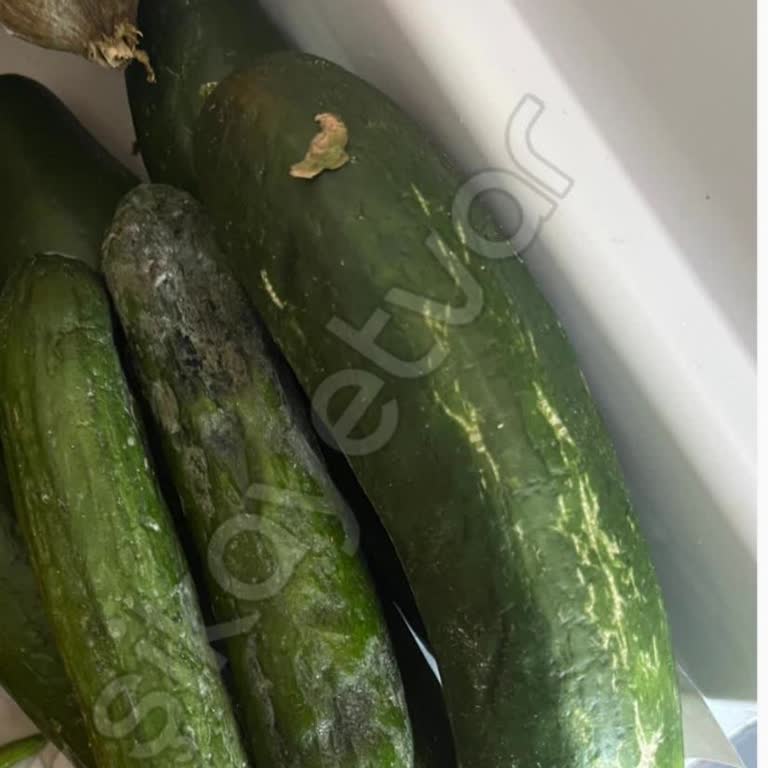 Beko Buzdolabında Sürekli Küflenme Sorunu