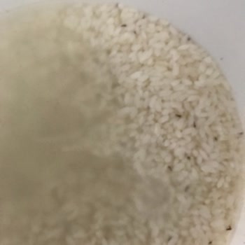 Migros Sanal Market'ten Gelen Bozuk Ürünler