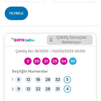 Milli Piyango Online'da Çekiliş Sonucu Bekleme Sorunu