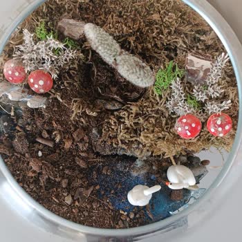 Yanıltıcı Teraryum Ve Kalitesiz Hizmet