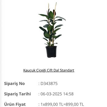 Çiçek Siparişi Teslim Edilmedi, İletişim Kurulamıyor