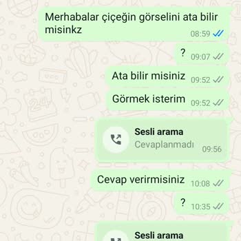 İletişim Sorunları Ve Güven Kaybı