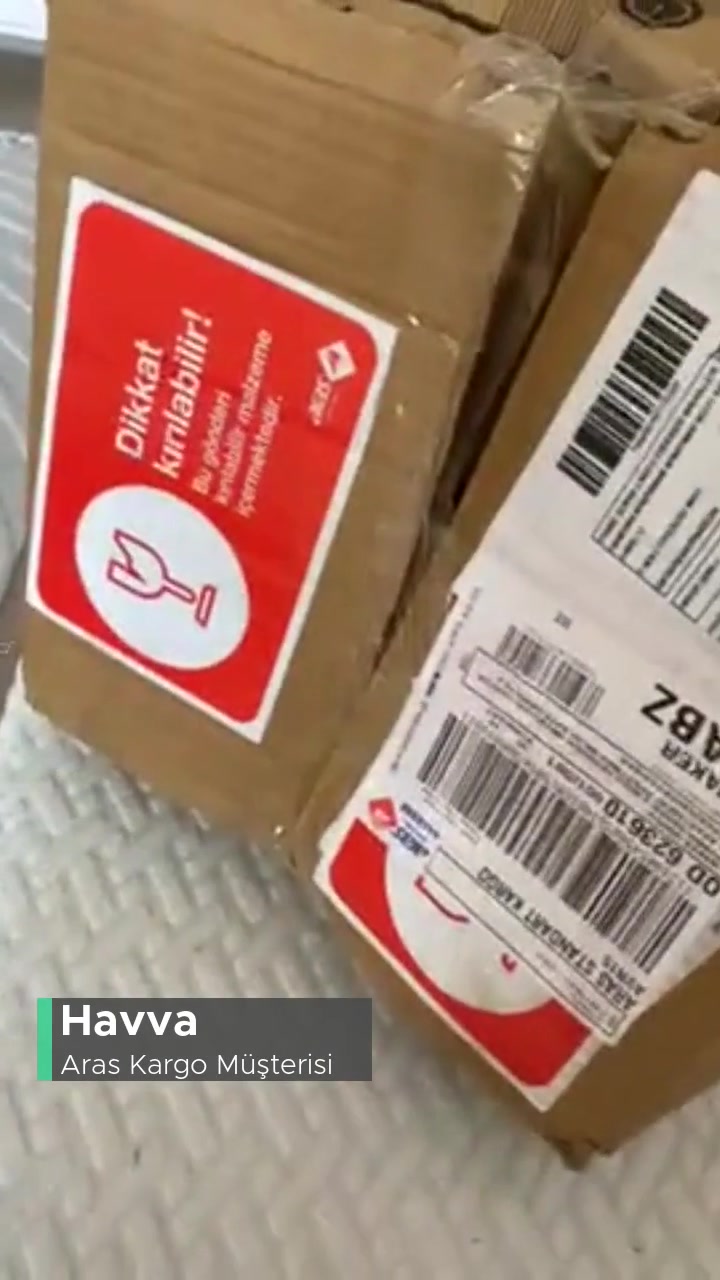 Aras Kargo Dikkatsiz Kargo Paketi! videonun kapak resmi