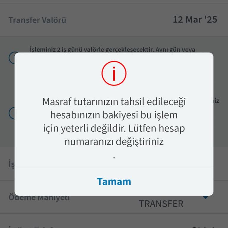 Halkbank Euro Transfer Sorunu: Yetersiz Bakiye Hatası