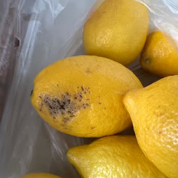 Migros Sanal Market: Kalitesiz Ürünler Ve Yetersiz Müşteri Hizmetleri