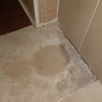 Turuncutesisatustasi.com Fiyat Aşırı Pahalı