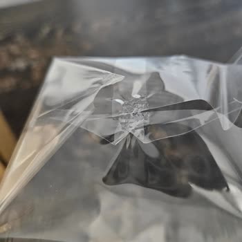 Açılmış Ve Hasarlı Parfüm Şoku