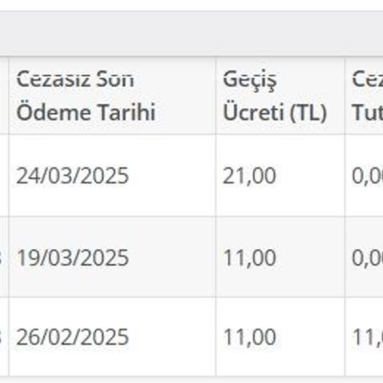 Hatalı Trafik Cezalarıyla Mağduriyet