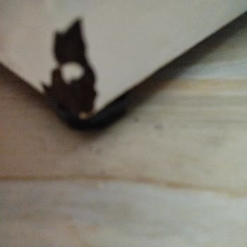 Makinemde Çürüme Sorunu Ve Memnuniyetsizlik