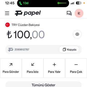 Papel Hesabına Yatırdığım Para Neden Gelmedi?